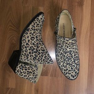 **Brand New **Lucky Brand leopard booties